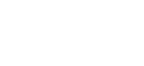 Baywatch Travel